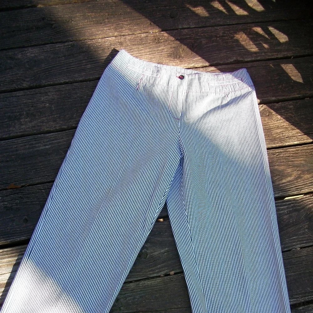 Harve` Benard Blue Pinstripe Capris – Size 12 - Picture 3 of 7